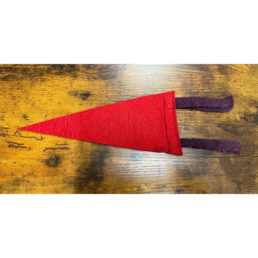 Vintage Winchester, Va mini pennant