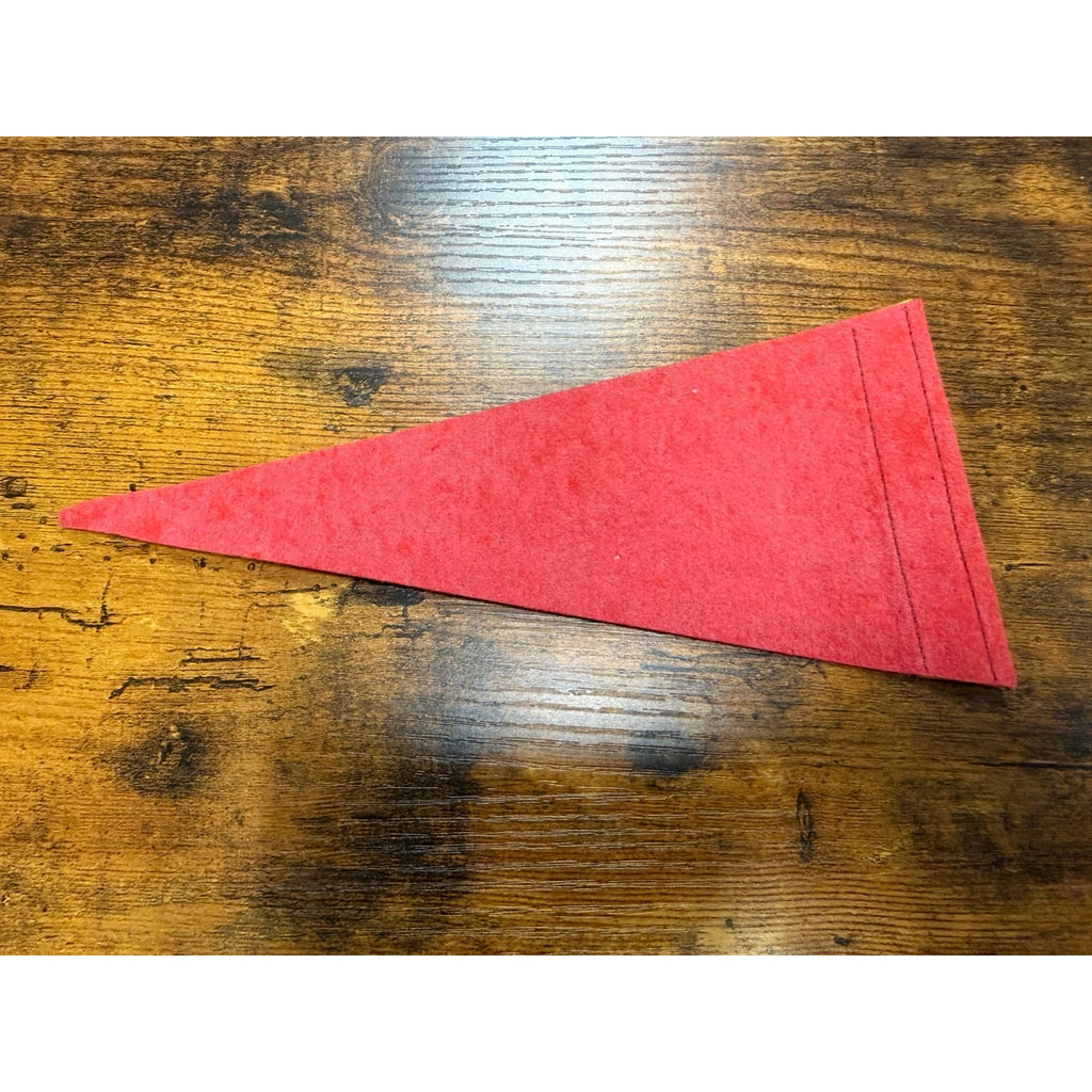 Vintage Jamestown, VA 1607 mini pennant
