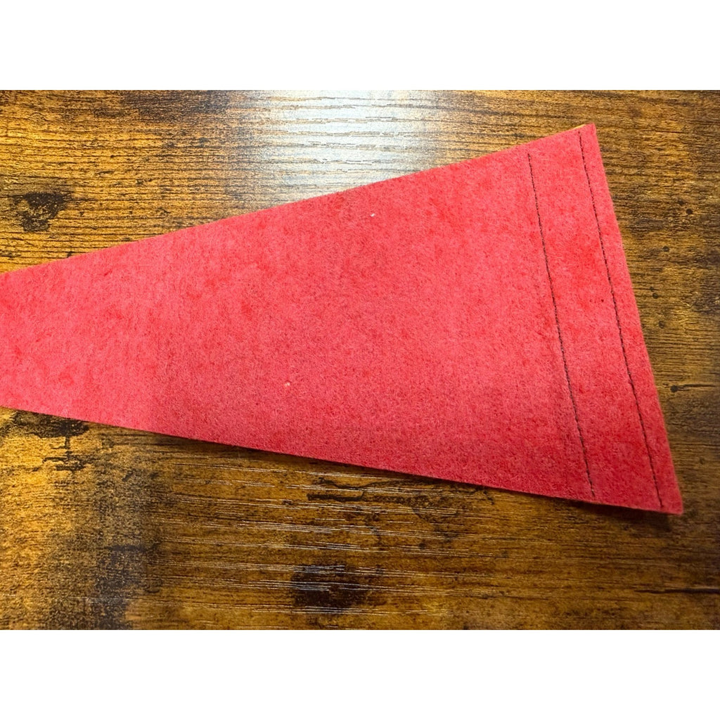 Vintage Jamestown, VA 1607 mini pennant