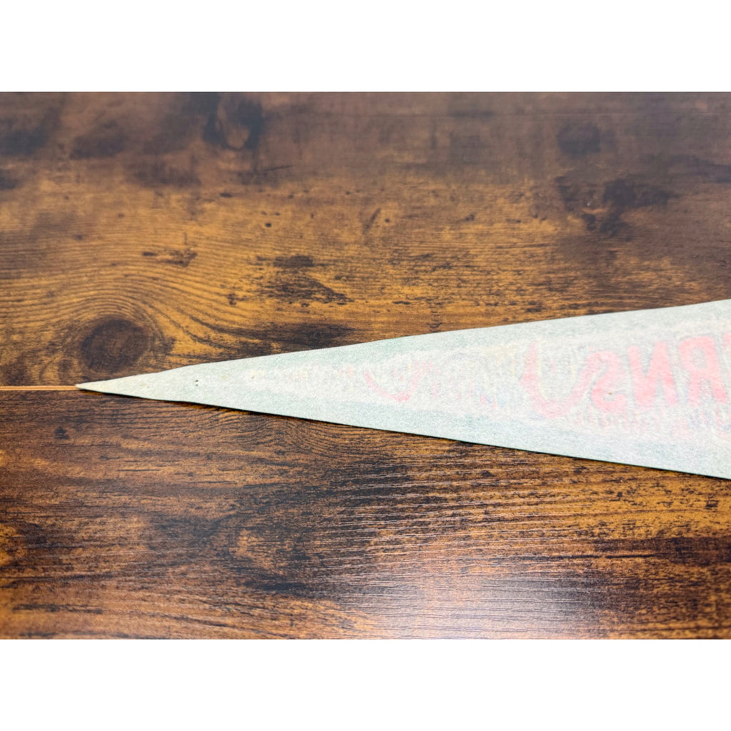 Vintage Carlsbad Caverns Felt Pennant Whites City New Mexico Souvenir 27 “