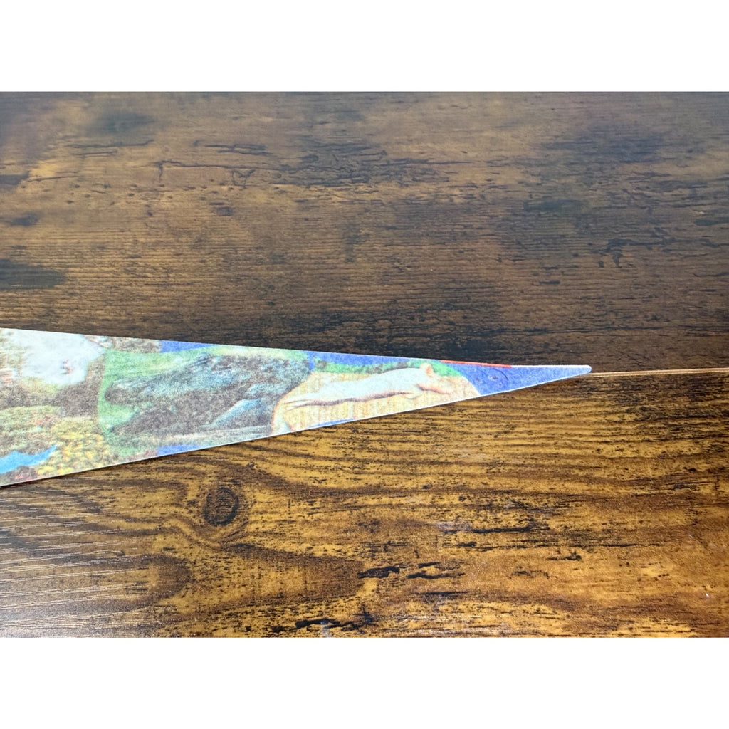 Vintage Aquarena Springs San Marcos Texas Souvenir Pennant 25 inches