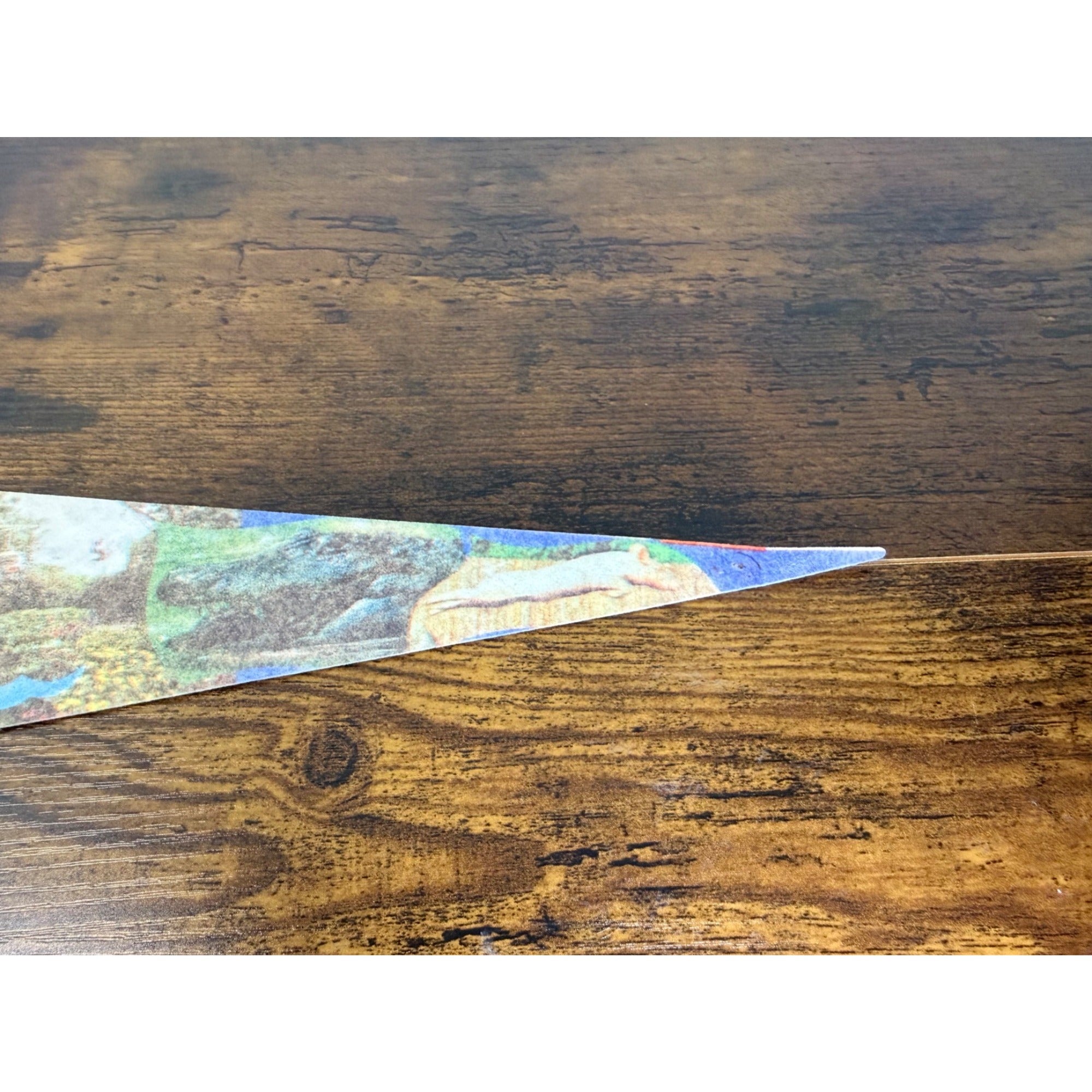 Vintage Aquarena Springs San Marcos Texas Souvenir Pennant 25 inches