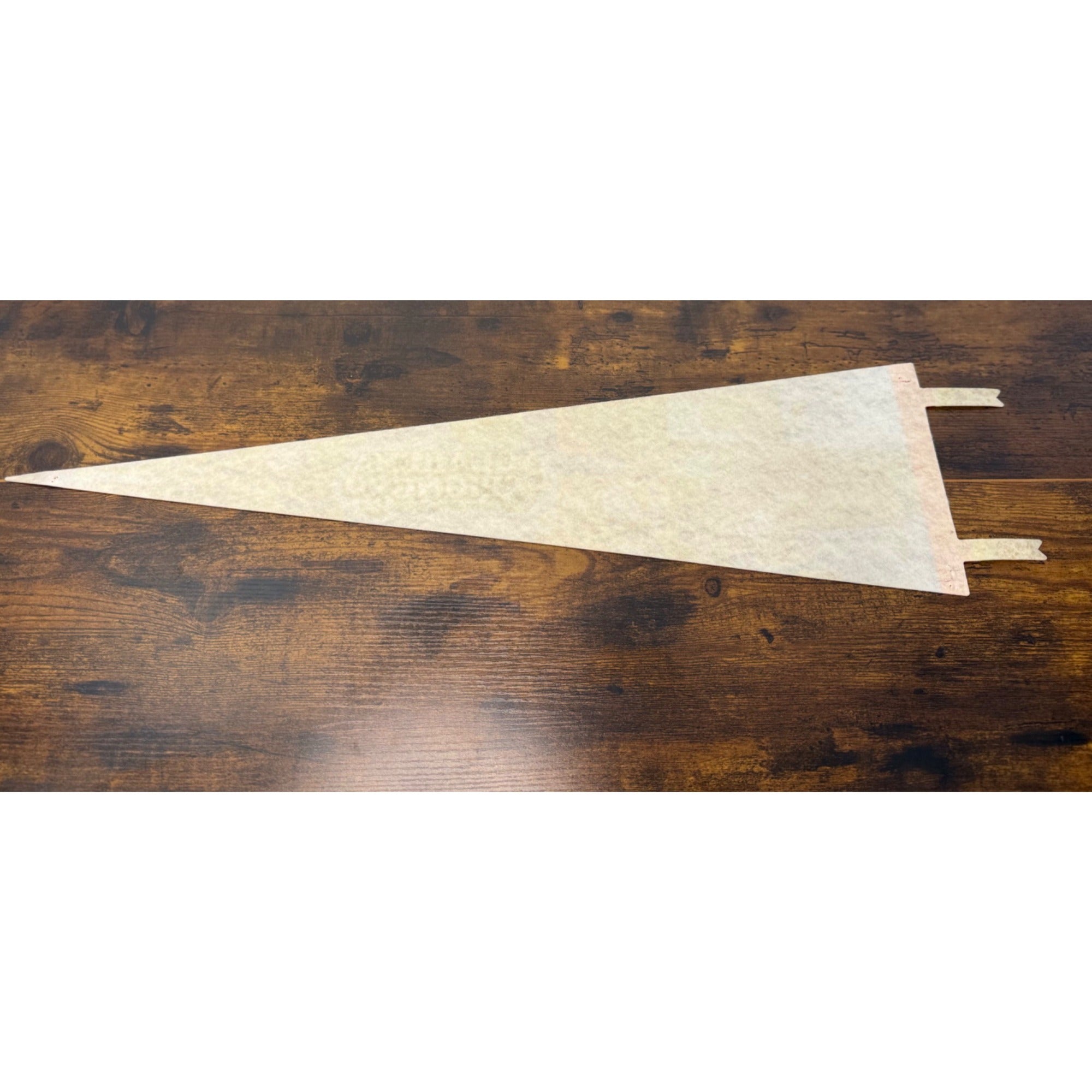 Vintage Aquarena Springs San Marcos Texas Souvenir Pennant 25 inches