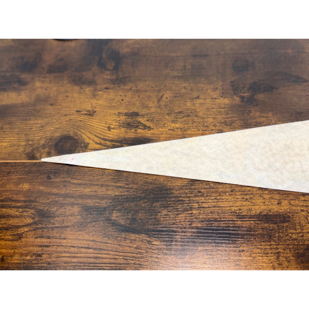 Vintage Aquarena Springs San Marcos Texas Souvenir Pennant 25 inches