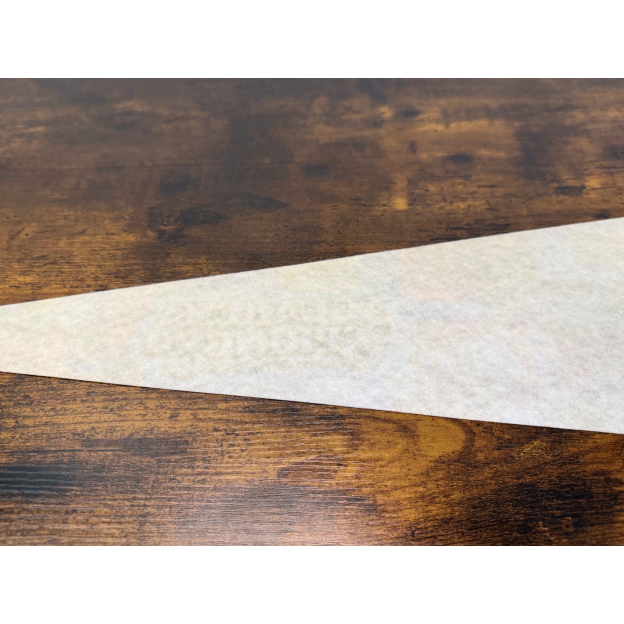 Vintage Aquarena Springs San Marcos Texas Souvenir Pennant 25 inches