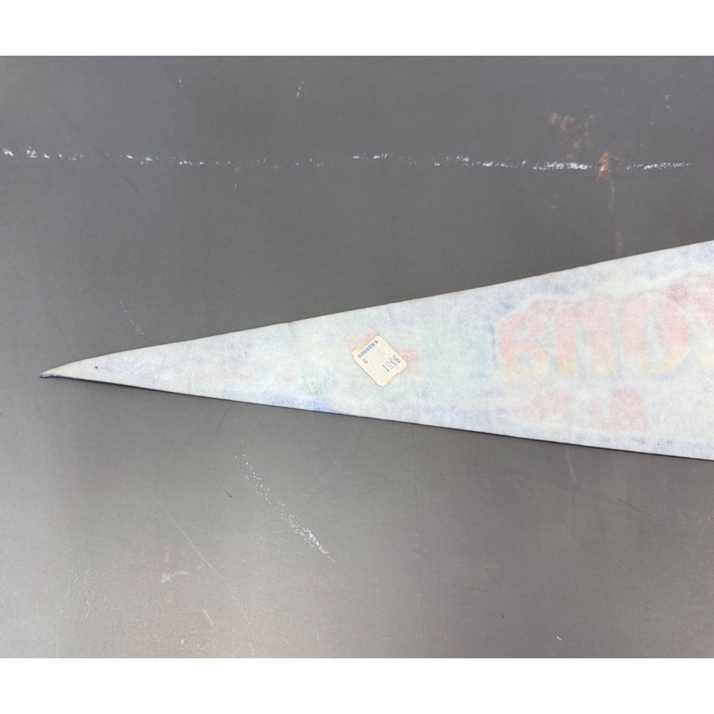Vintage Arizona state pennant