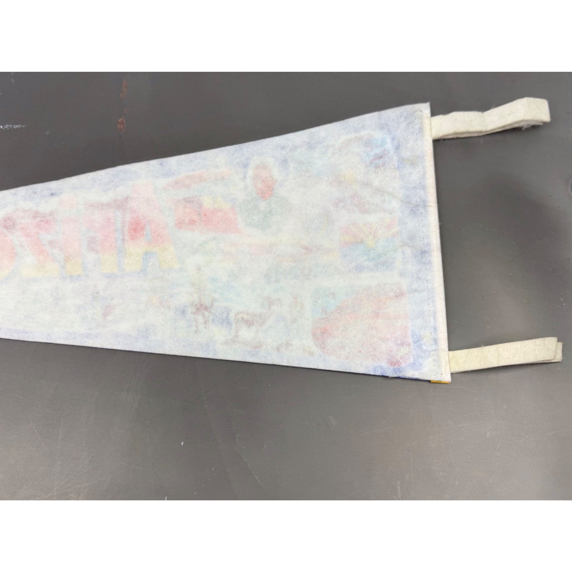 Vintage Arizona state pennant
