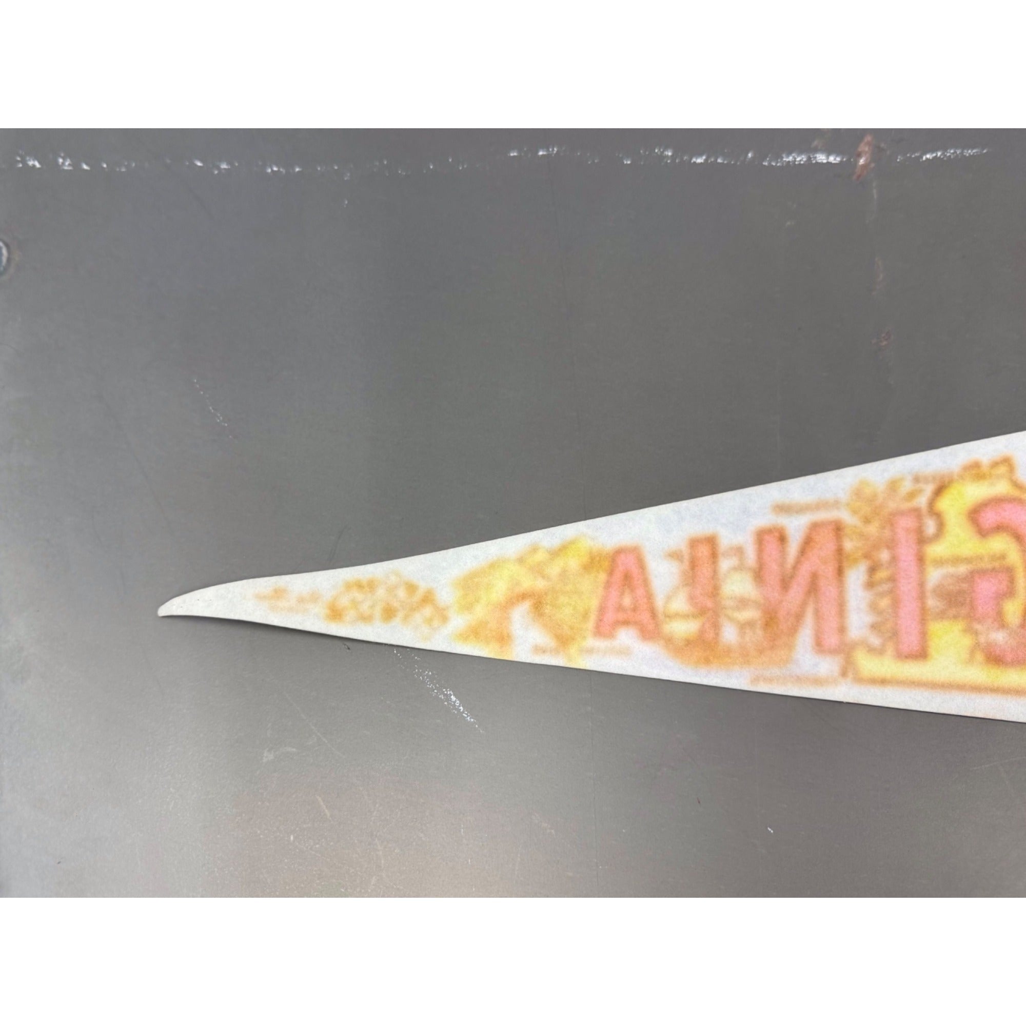 Vintage Virginia state pennant