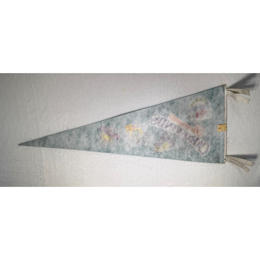 Vintage Paramounts Carowinds pennant
