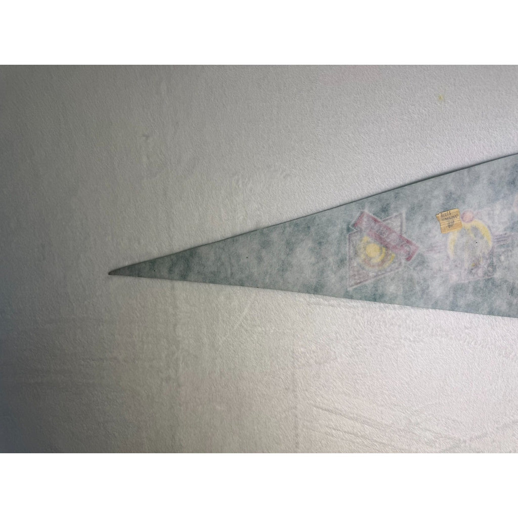Vintage Paramounts Carowinds pennant