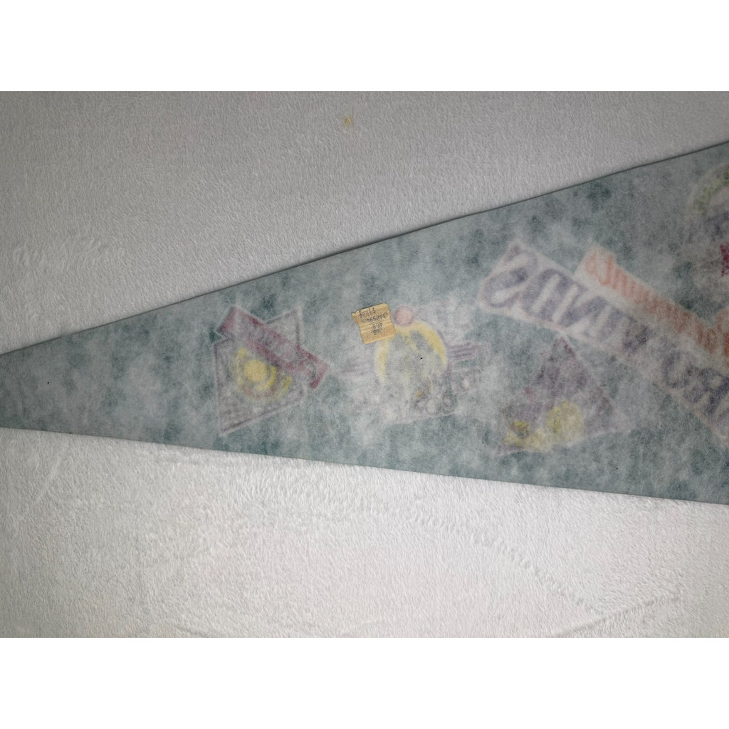 Vintage Paramounts Carowinds pennant