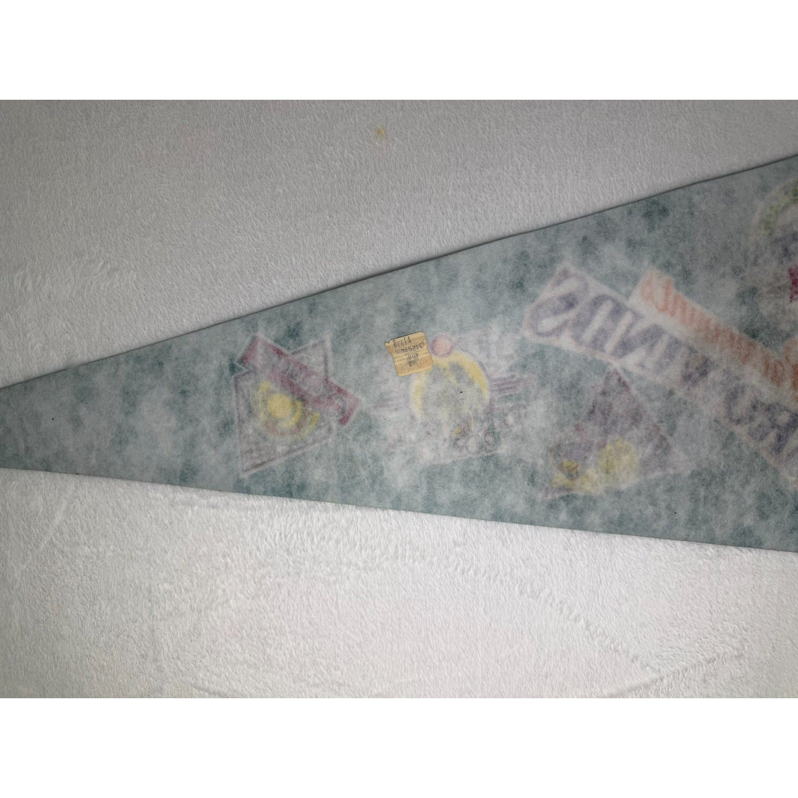 Vintage Paramounts Carowinds pennant