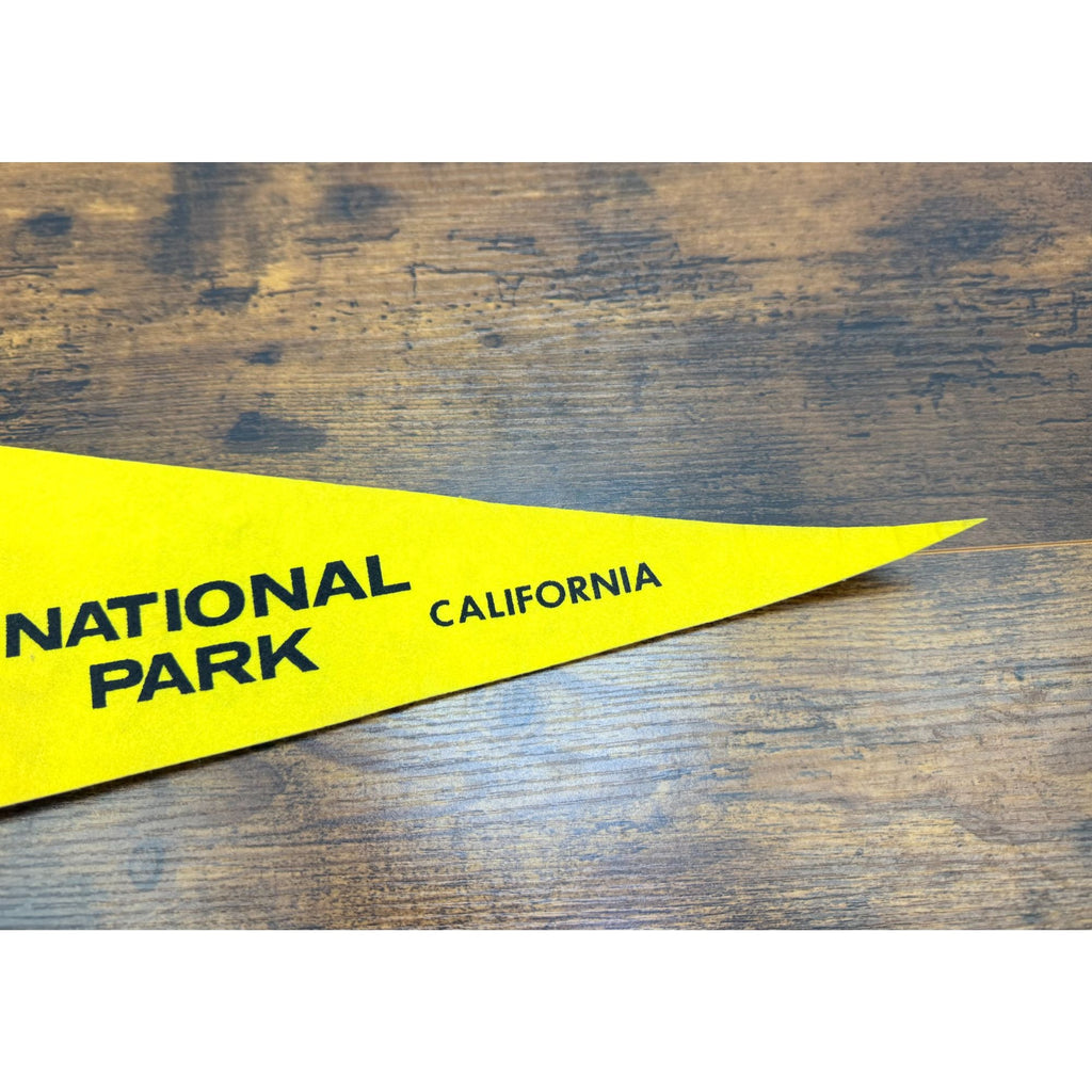 Vintage Lassen Volcanic National Park Pennant California Souvenir Collectible