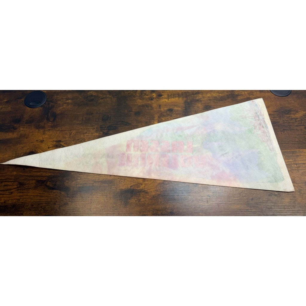 Vintage Lassen Volcanic National Park Pennant California Souvenir Collectible