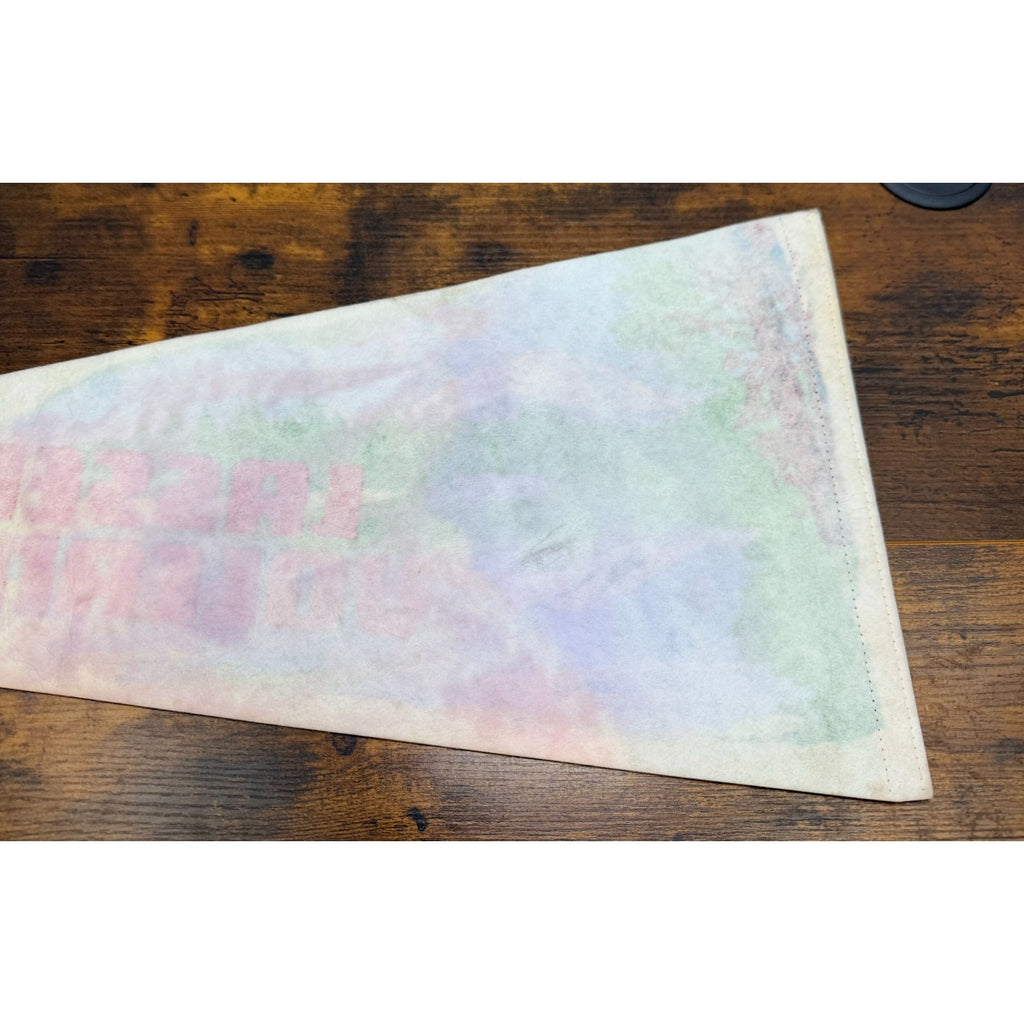 Vintage Lassen Volcanic National Park Pennant California Souvenir Collectible