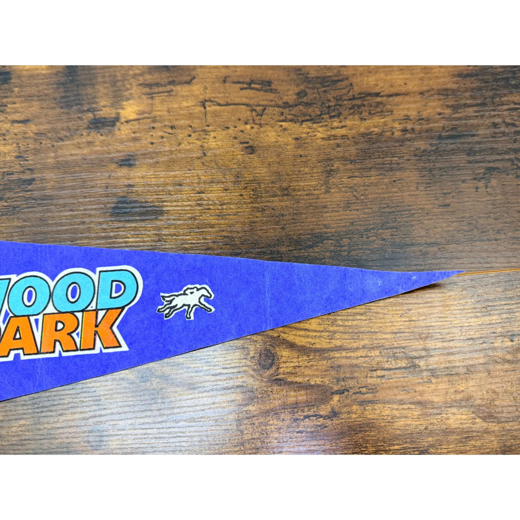 Vintage Hollywood Park Felt Pennant With Rainbow Horse Racing Design