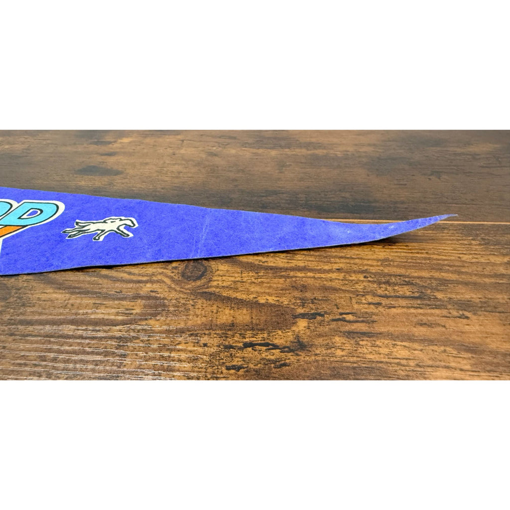 Vintage Hollywood Park Felt Pennant With Rainbow Horse Racing Design