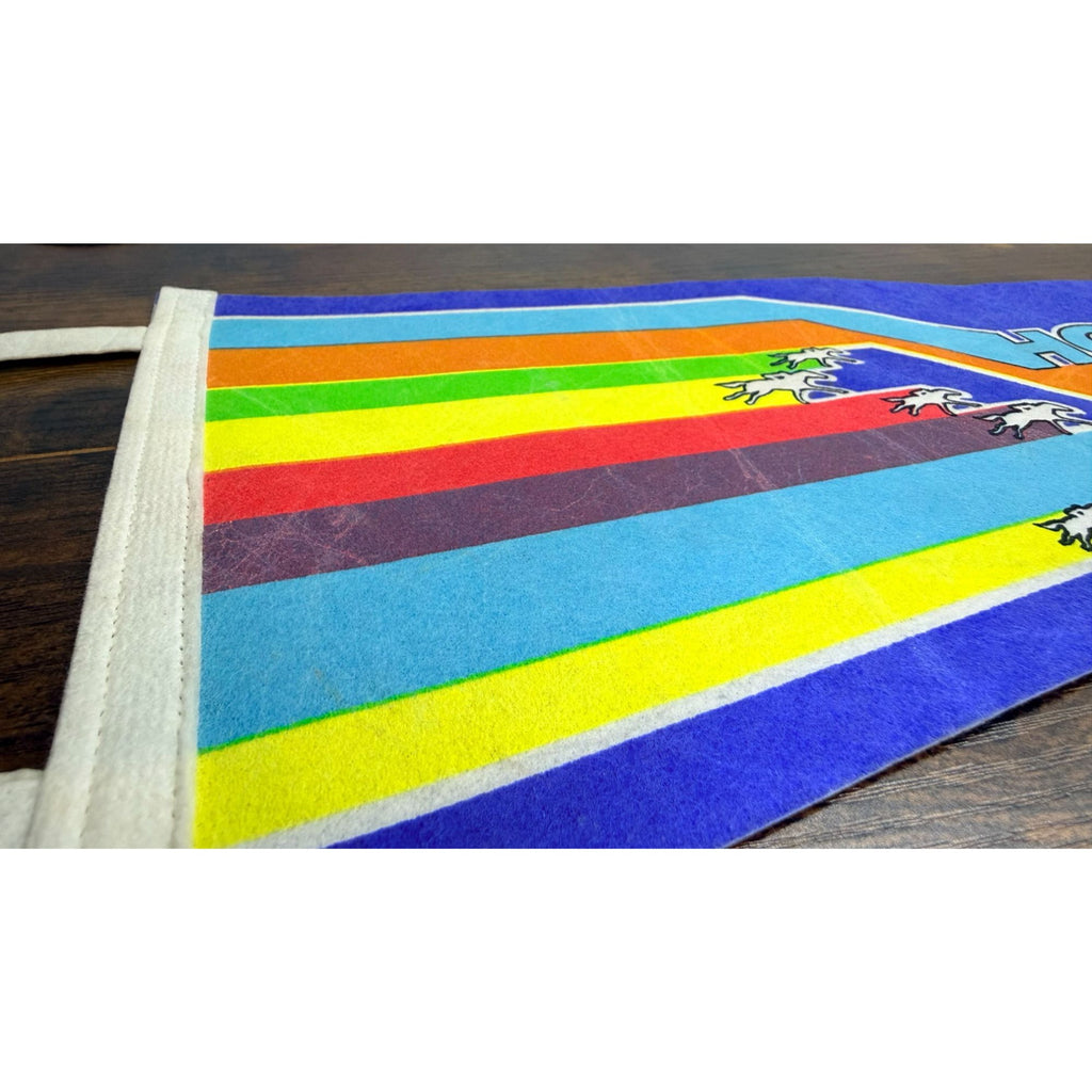 Vintage Hollywood Park Felt Pennant With Rainbow Horse Racing Design