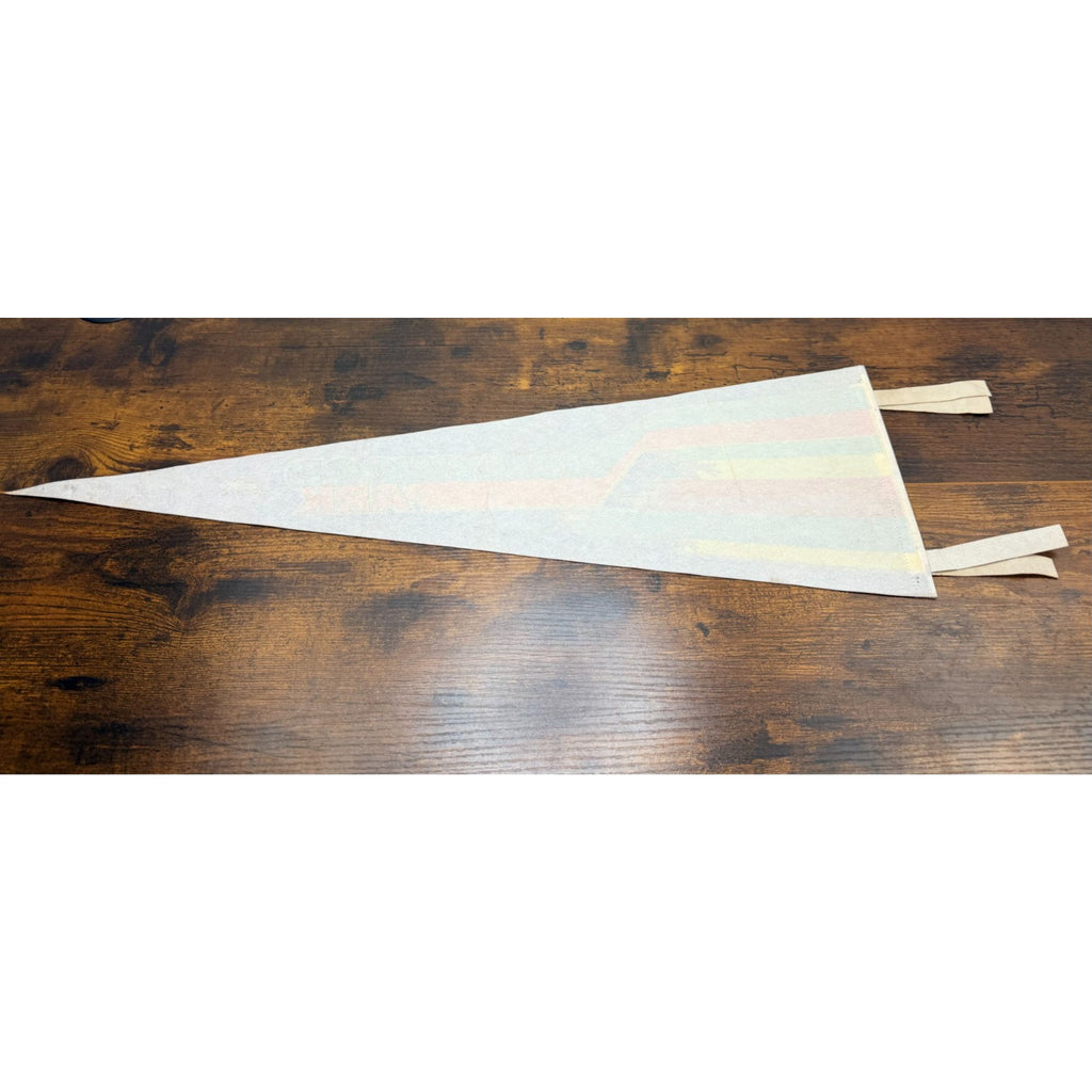Vintage Hollywood Park Felt Pennant With Rainbow Horse Racing Design