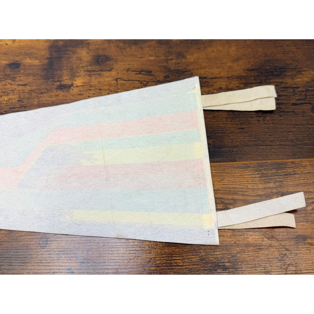 Vintage Hollywood Park Felt Pennant With Rainbow Horse Racing Design