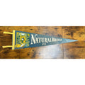 Vintage Natural Bridge, Virginia pennant