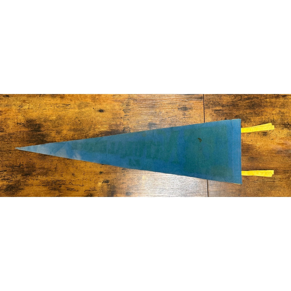 Vintage Natural Bridge, Virginia pennant