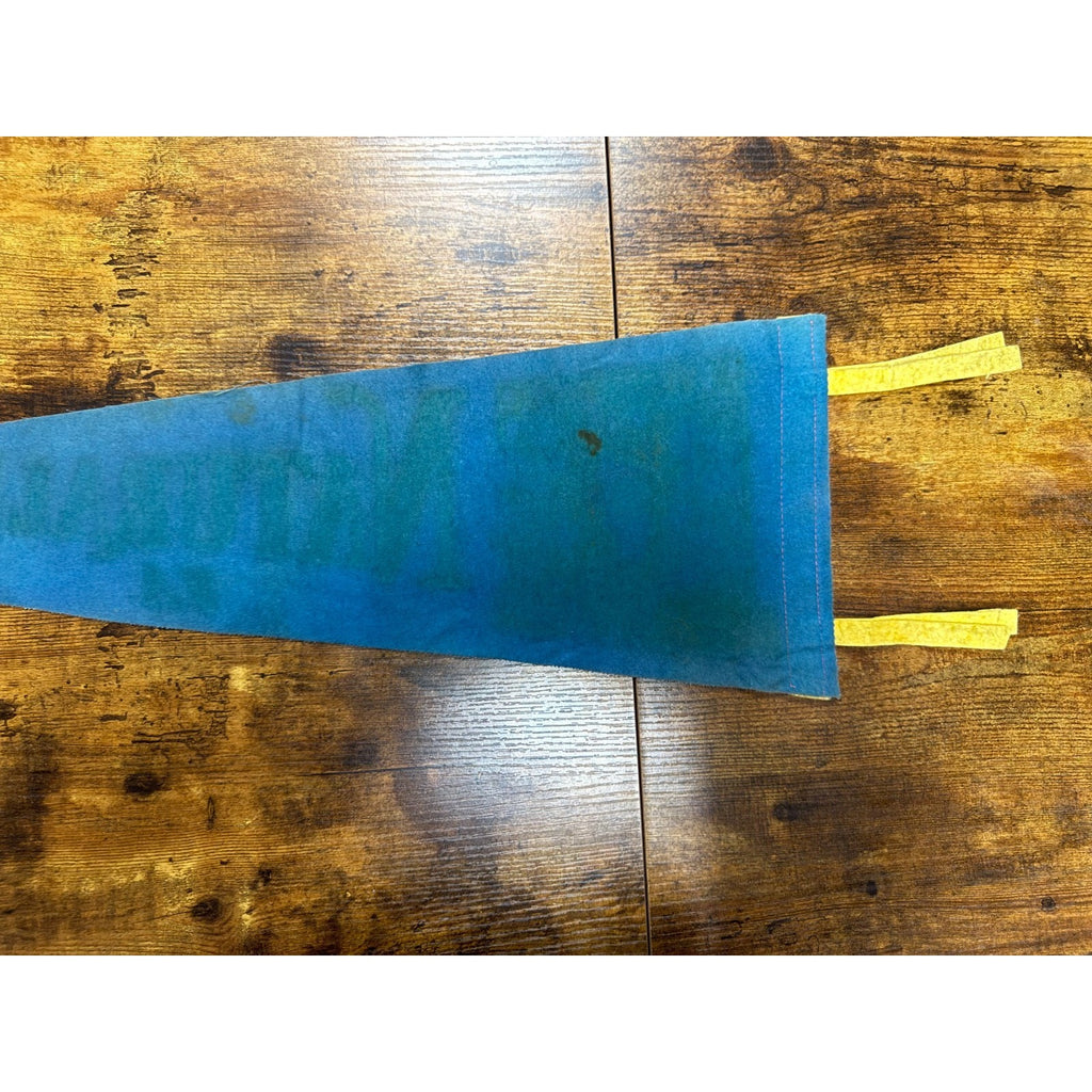 Vintage Natural Bridge, Virginia pennant