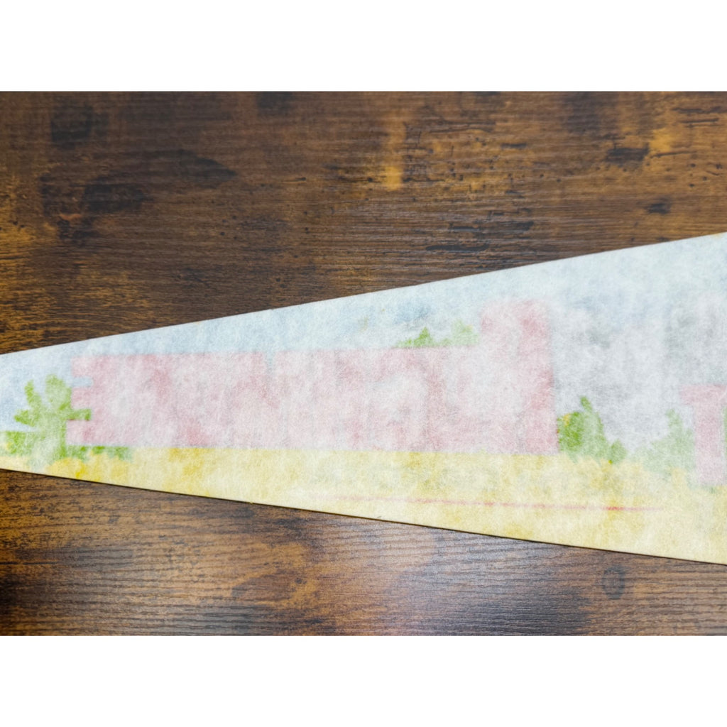 Vintage Mount Rushmore Black Hills, South Dakota pennant 25 inches