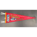 Vintage 1994 Alaska “The Last Frontier” pennant