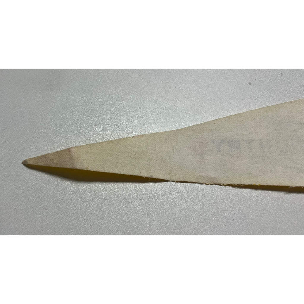 Vintage Amish Country 14”’ Felt Souvenir Pennant
