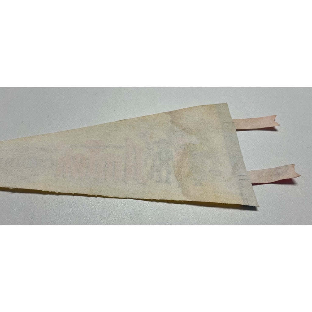 Vintage Amish Country 14”’ Felt Souvenir Pennant