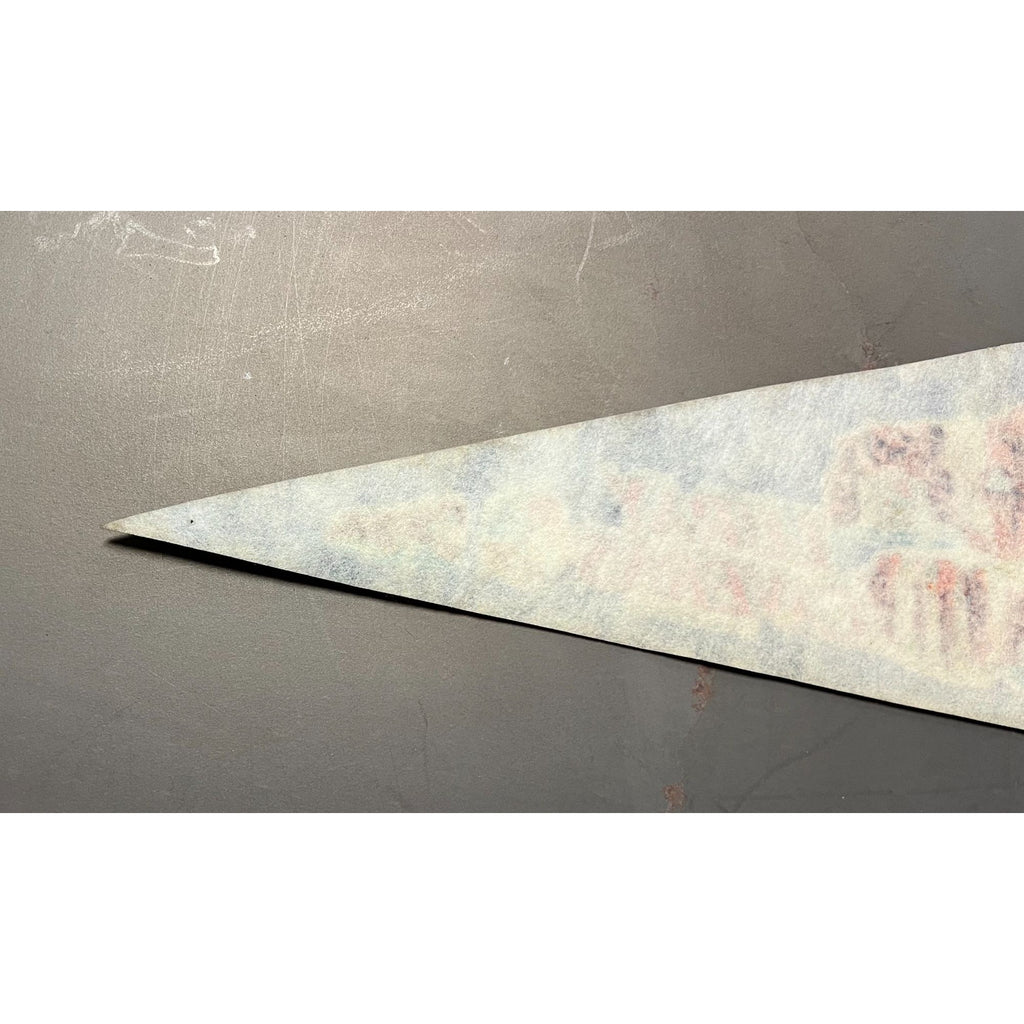 Vintage Luray Caverns Luray, VA pennant