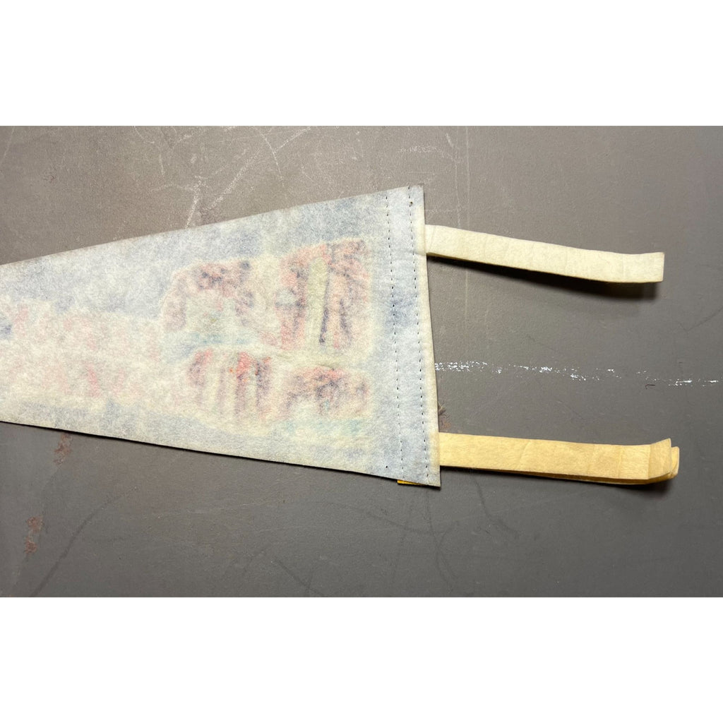 Vintage Luray Caverns Luray, VA pennant