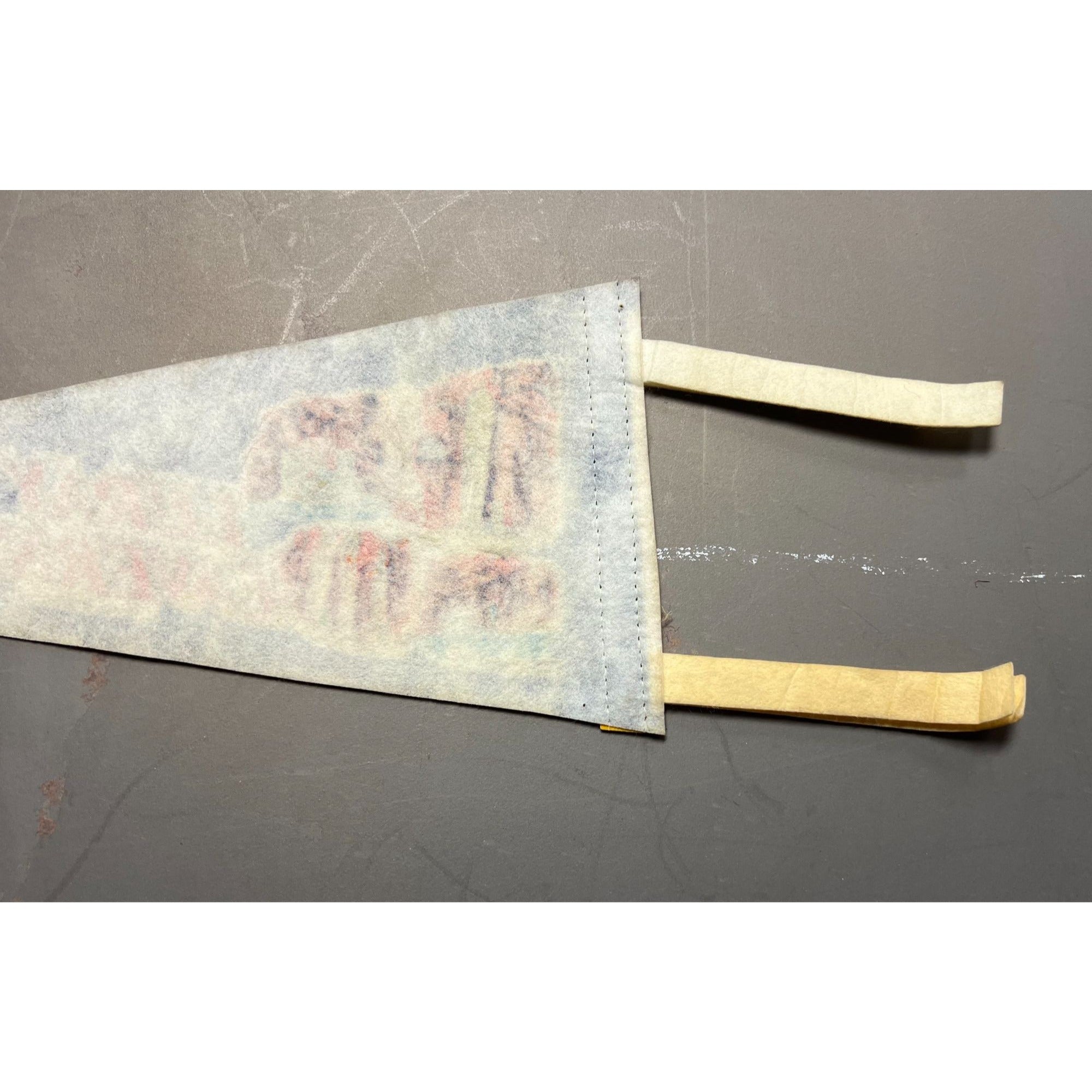 Vintage Luray Caverns Luray, VA pennant