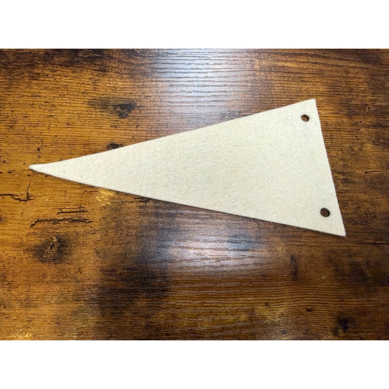 Vintage Rough and Ready Califronia mini pennant
