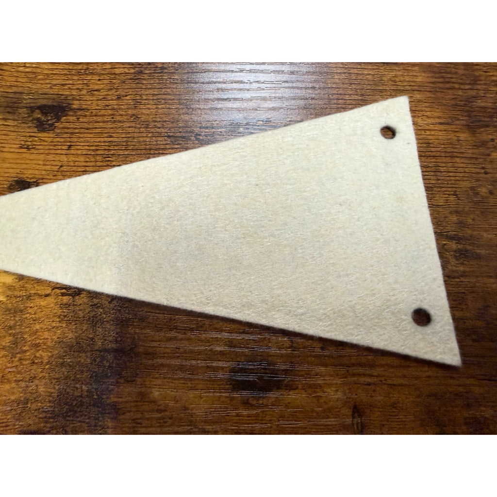 Vintage Rough and Ready Califronia mini pennant