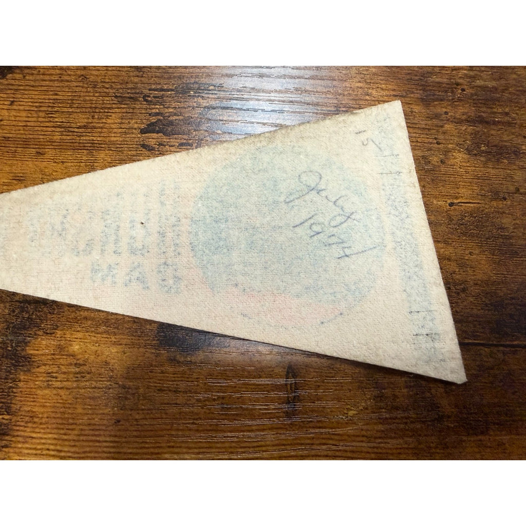 Vintage Hungry Horse Dam Montana Souvenir Felt Mini Pennant 8"
