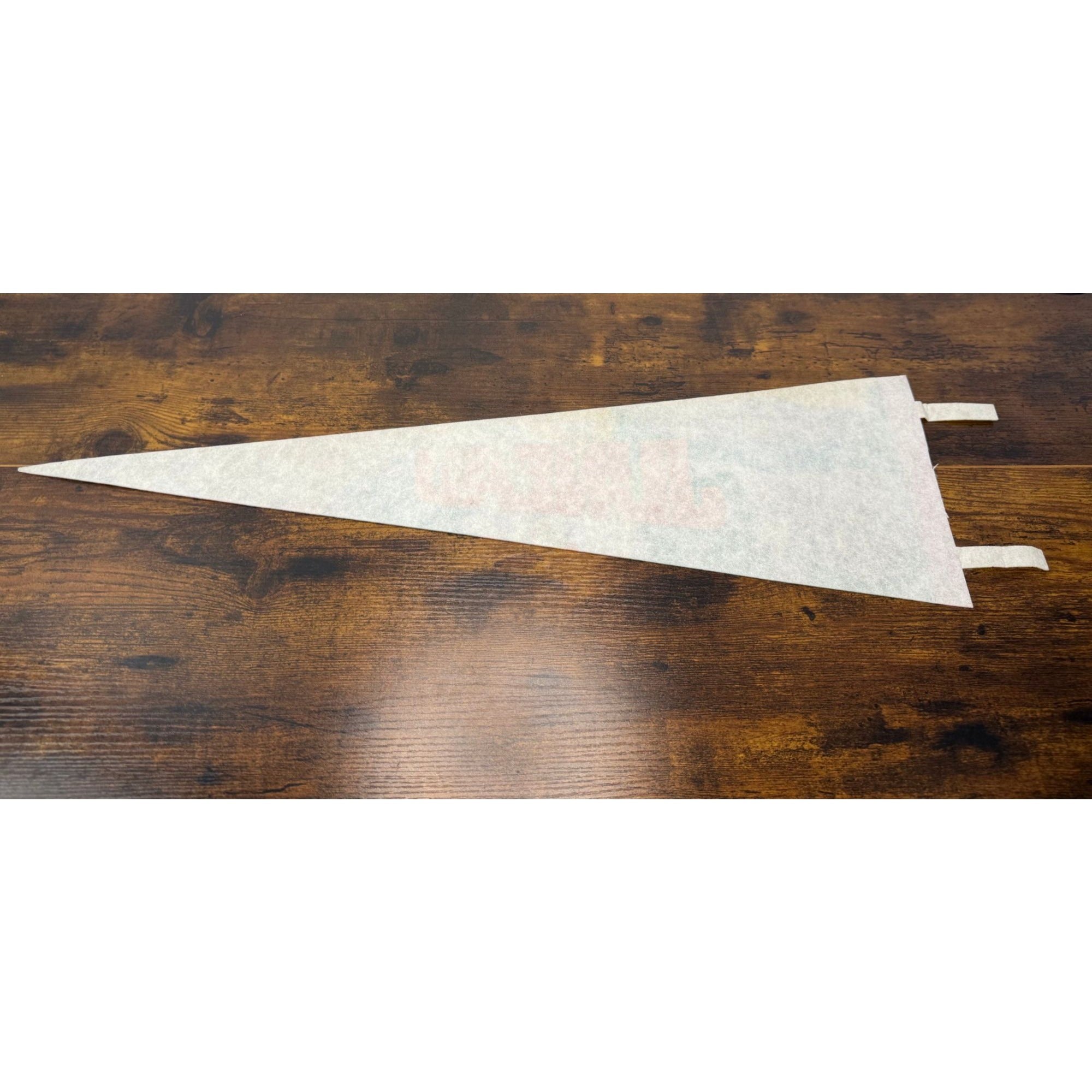 Vintage 1976 Juneau Alaska Souvenir Pennant With Illustrations & Landmarks