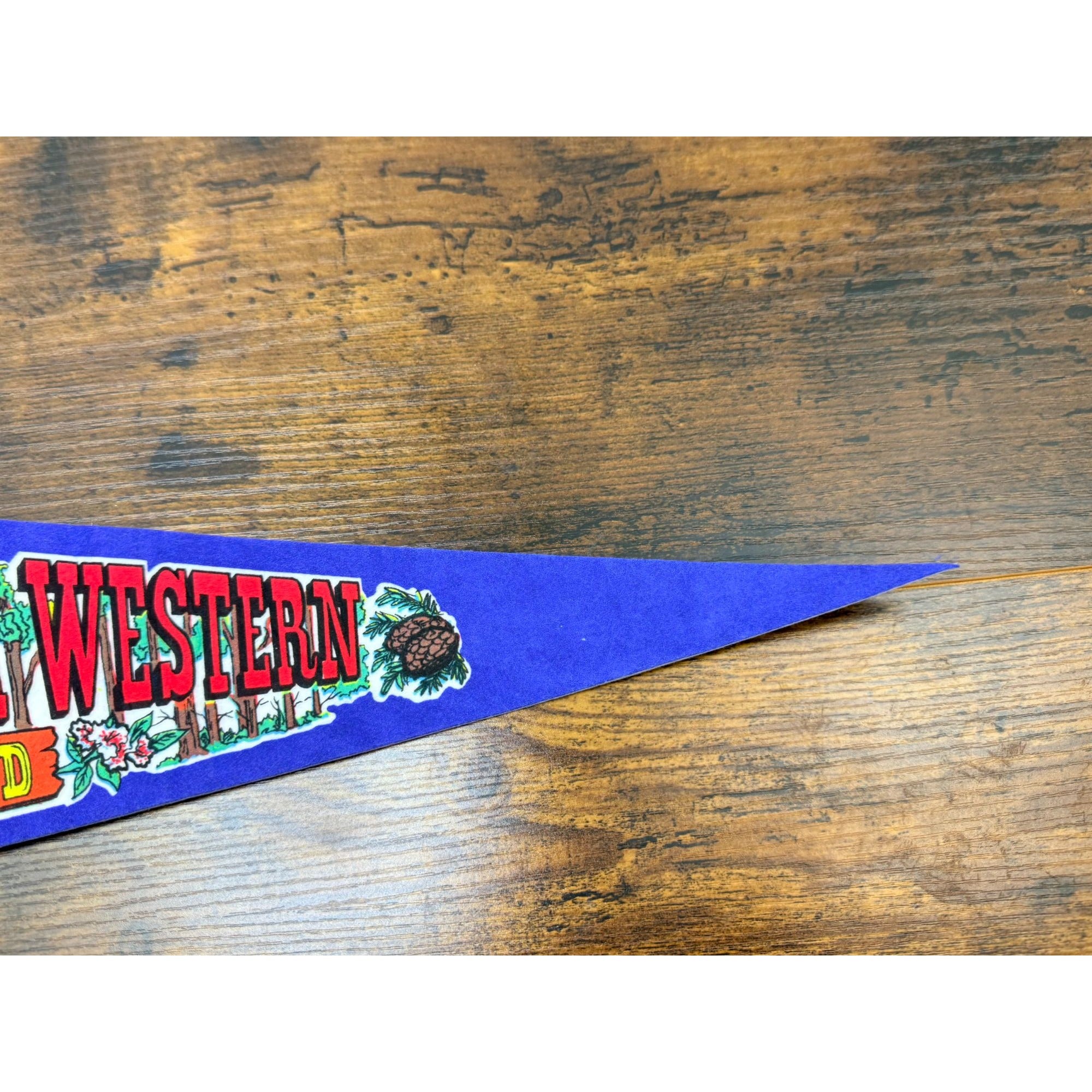 California Western Railroad Skunk Train Felt Pennant Vintage Fort Bragg Willits