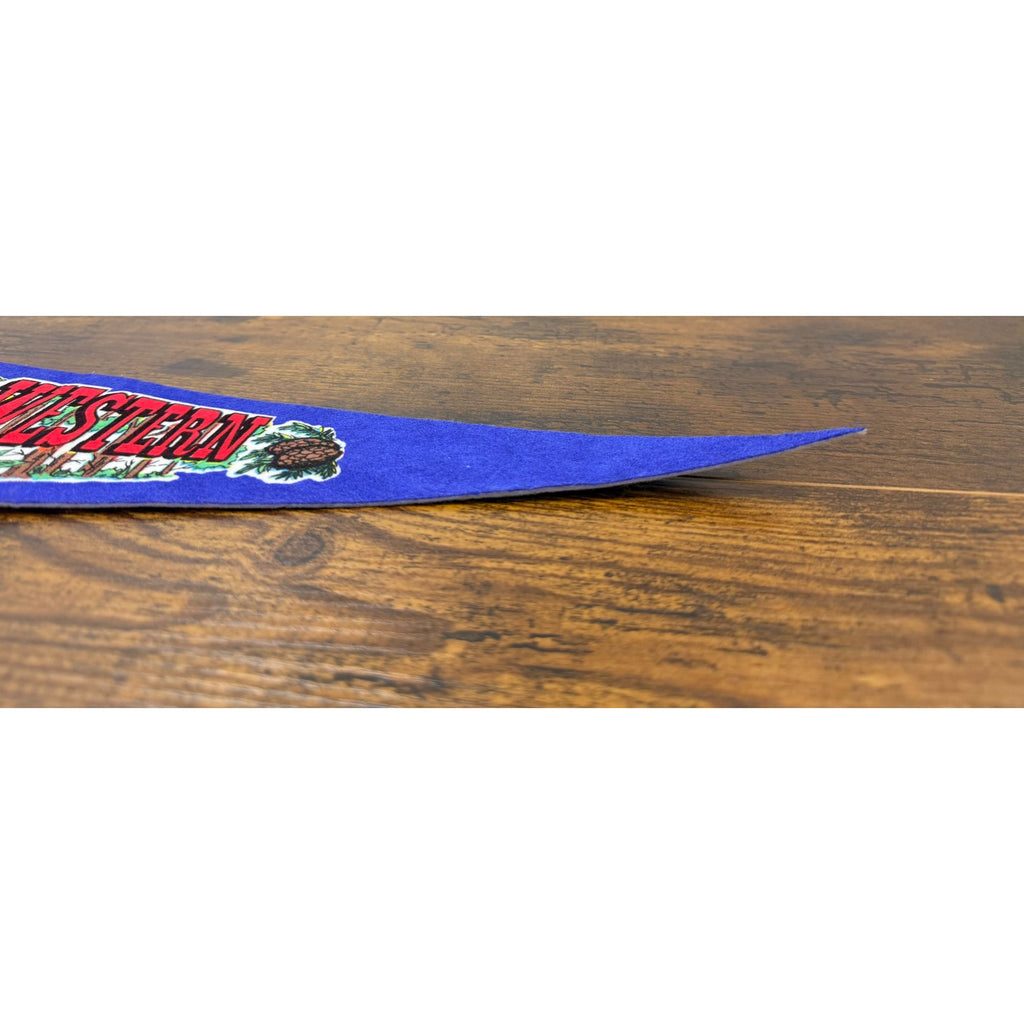 California Western Railroad Skunk Train Felt Pennant Vintage Fort Bragg Willits
