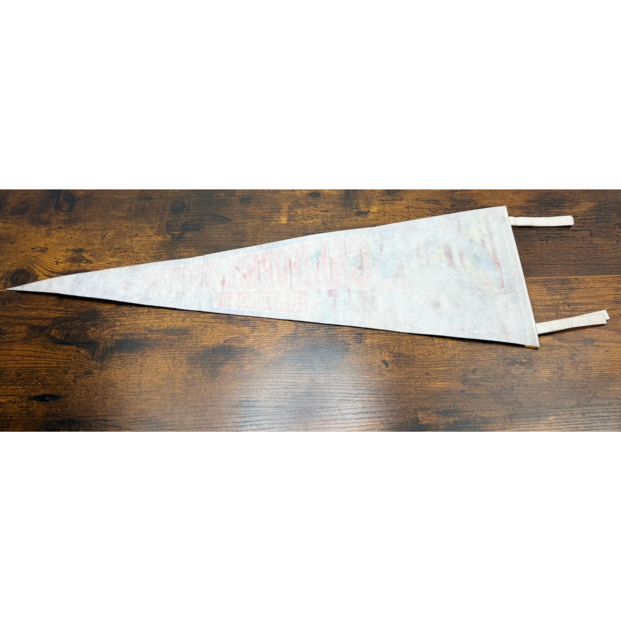 California Western Railroad Skunk Train Felt Pennant Vintage Fort Bragg Willits