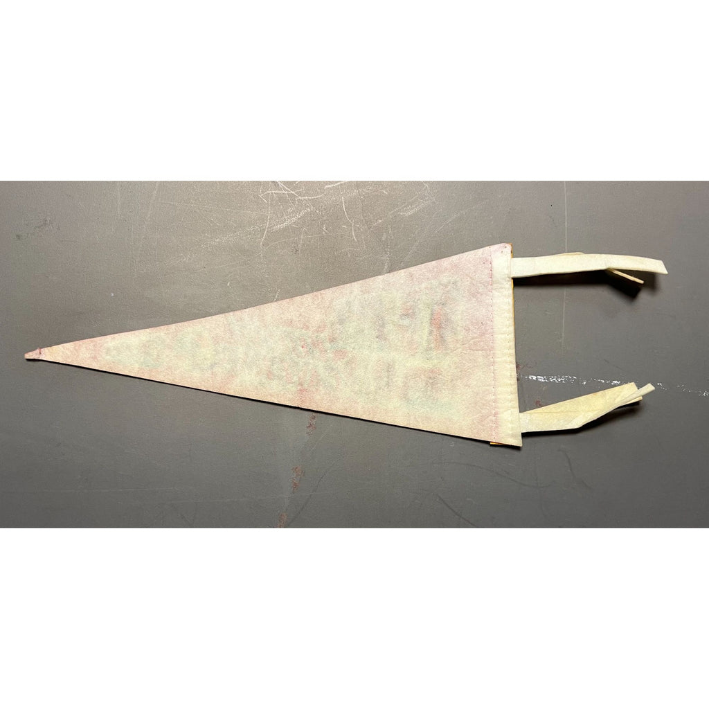 Vintage Luray Caverns Luray, VA pennant