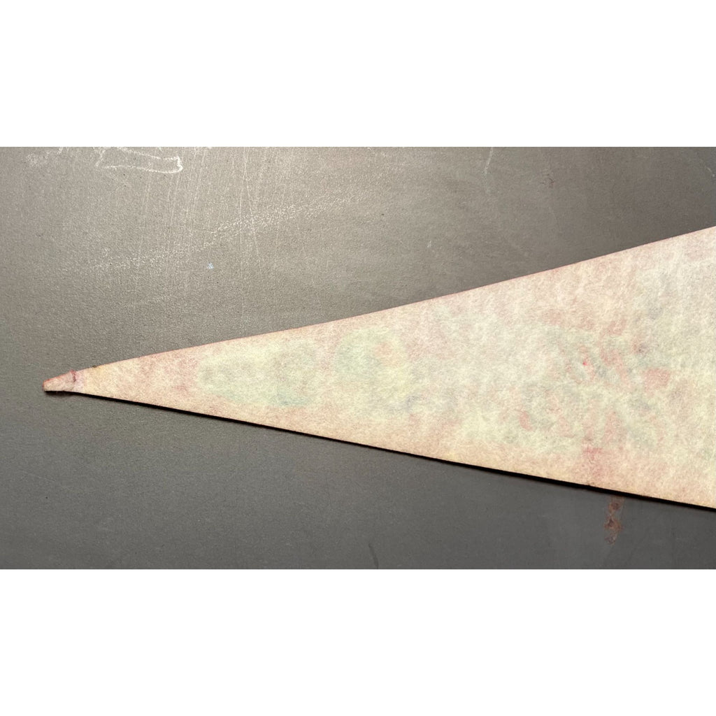 Vintage Luray Caverns Luray, VA pennant