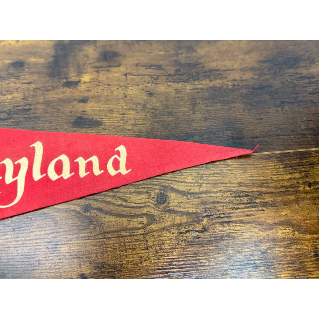 Vintage Disneyland Red Felt Pennant Castle Design By Walt Disney Productions