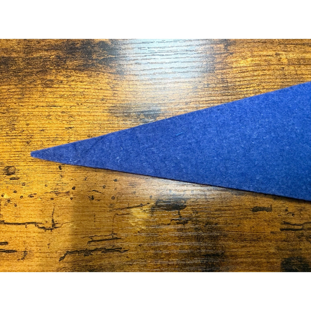 Vintage Shenandoah Caverns, Va mini pennant