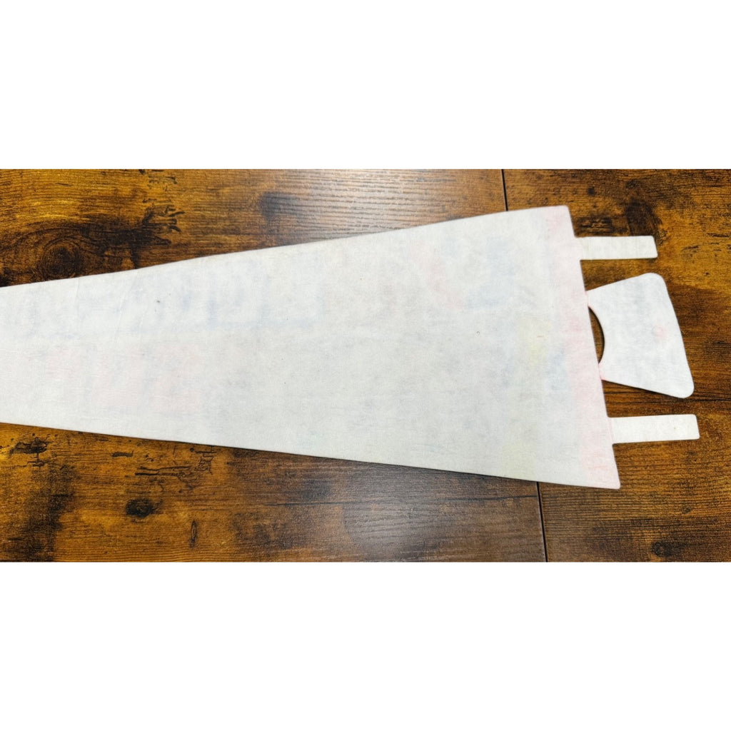 Vintage 1971 Louisiana Superdome pennant