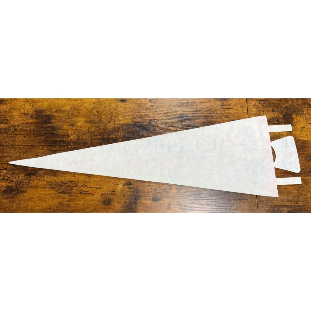 Vintage 1971 Louisiana Superdome pennant