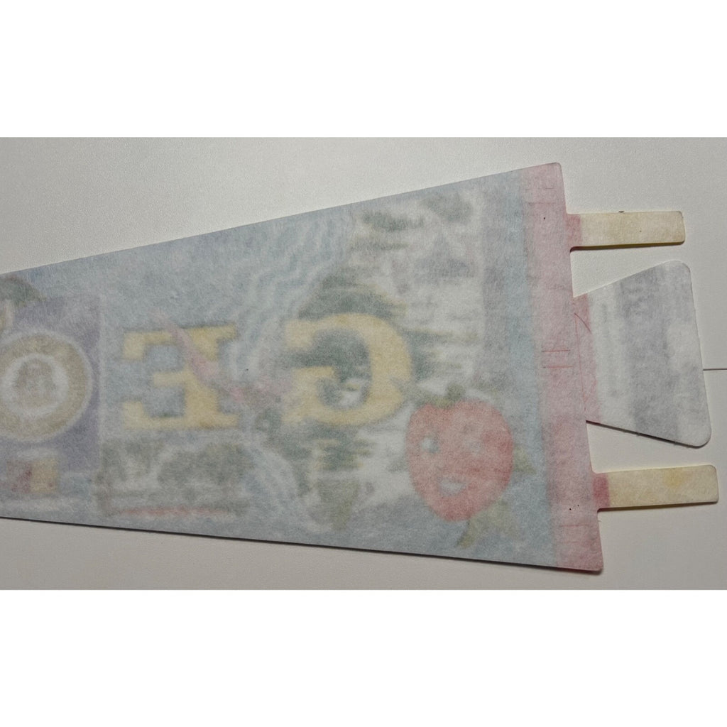 Vintage Georgia pennant