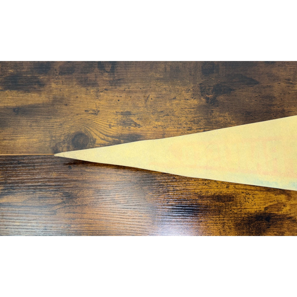 Vintage San Francisco Cable Car Felt Pennant Mid-Century Design