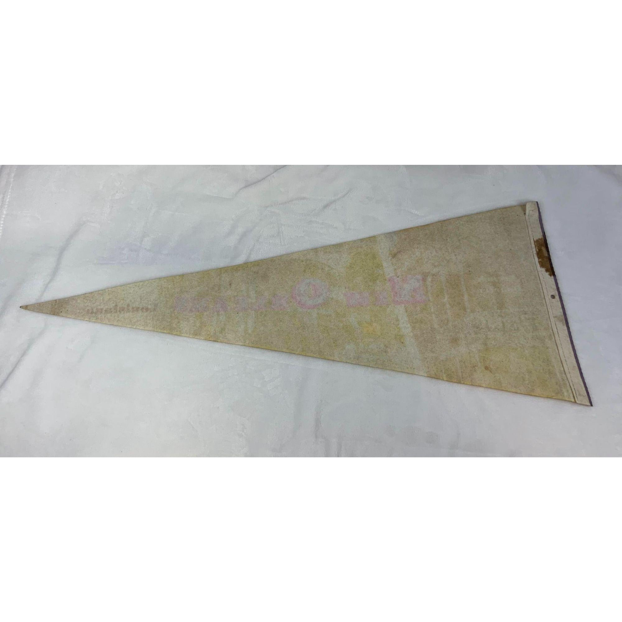 Vintage New Orleans Louisiana pennant